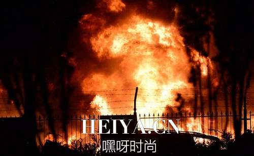 天津港瑞海物流公司什么危险品爆炸了 天津爆炸企业是做什么的 