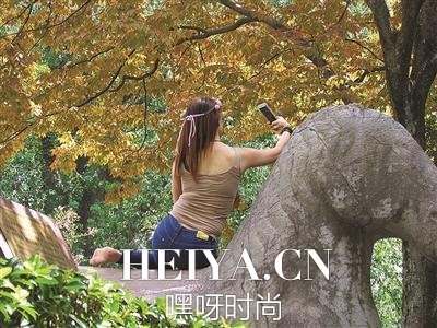 在文物上玩自拍的南京女子是谁人肉搜索结果个人资料照片揭秘