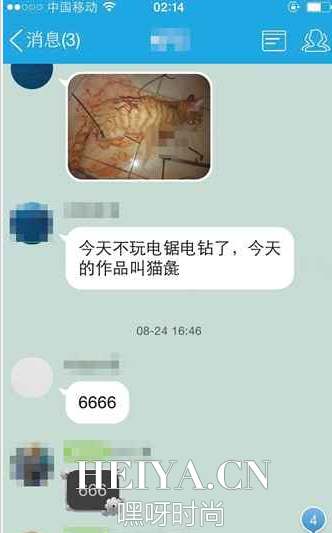 广东财经大学刘某杨虐猫现场视频曝光 刘某杨人肉结果虐猫群QQ号