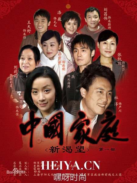 中国家庭演员表剧情介绍_中国家庭一二三部全集在线观看免费下载