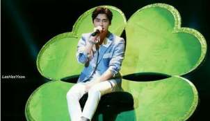 蜜蜂祝李易峰0504生日快乐2015成都演唱会视频观看