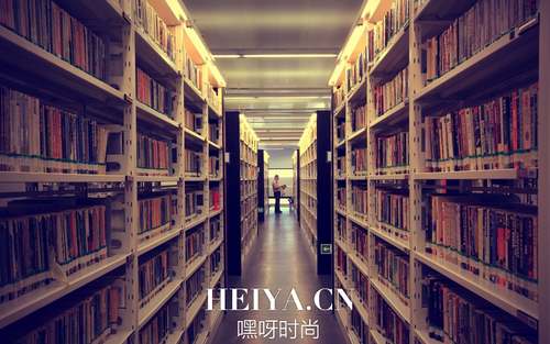 10个免费英文电子书下载网站