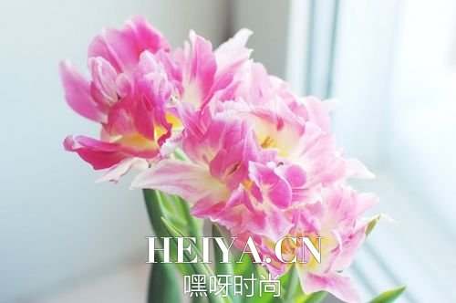 插画心语:一生太长,花期荼蘼,也抵不住荏苒时光| jiaren.org 插画心语:一生太长,花期荼蘼,也抵不住荏苒时光| jiaren.org