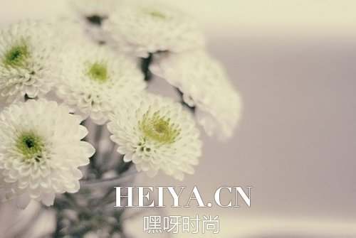 插画心语:一生太长,花期荼蘼,也抵不住荏苒时光| jiaren.org 插画心语:一生太长,花期荼蘼,也抵不住荏苒时光| jiaren.org