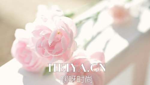 插画心语:一生太长,花期荼蘼,也抵不住荏苒时光| jiaren.org 插画心语:一生太长,花期荼蘼,也抵不住荏苒时光| jiaren.org