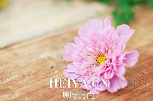 插画心语:一生太长,花期荼蘼,也抵不住荏苒时光| jiaren.org 插画心语:一生太长,花期荼蘼,也抵不住荏苒时光| jiaren.org