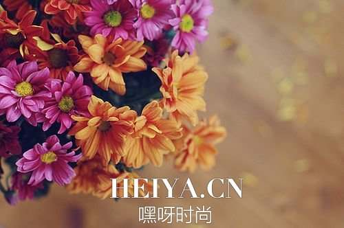 插画心语:一生太长,花期荼蘼,也抵不住荏苒时光| jiaren.org 插画心语:一生太长,花期荼蘼,也抵不住荏苒时光| jiaren.org