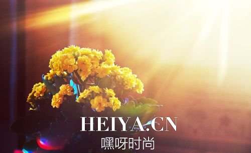 插画心语:一生太长,花期荼蘼,也抵不住荏苒时光| jiaren.org 插画心语:一生太长,花期荼蘼,也抵不住荏苒时光| jiaren.org