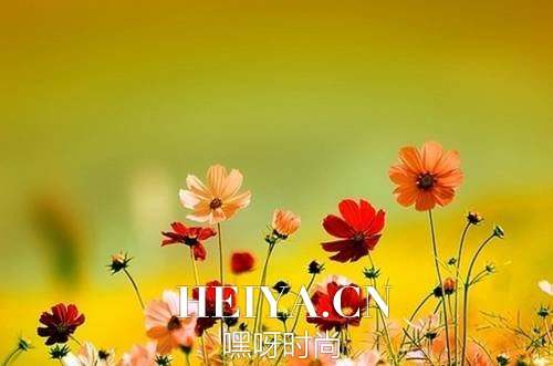 插画心语:一生太长,花期荼蘼,也抵不住荏苒时光| jiaren.org 插画心语:一生太长,花期荼蘼,也抵不住荏苒时光| jiaren.org