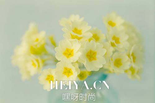 插画心语:一生太长,花期荼蘼,也抵不住荏苒时光| jiaren.org 插画心语:一生太长,花期荼蘼,也抵不住荏苒时光| jiaren.org