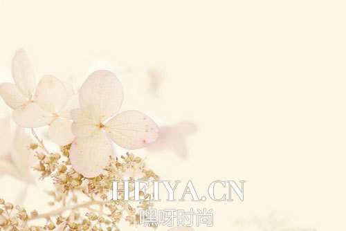 池莉：人生三境界
