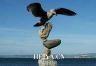 2013年四川高考零分作文：中国式平衡零分作文原文内容曝光