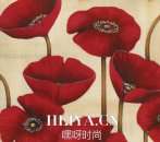 希望你不要介意出自哪里  张小娴：这就是爱情，希望你不要介意