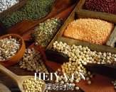 夏季湿热天应该怎么养生    养生有哪些重点