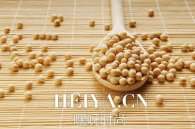 豆腐减肥食谱大全   吃豆制品真的可以瘦身吗