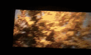 范冰冰版杨贵妃什么时候上映 杨贵妃范冰冰黎明马震视频片段