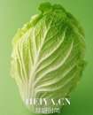 吃什么蔬菜可以减肥  萝卜青菜各有所爱