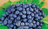 吃什么水果可以补水   给肌肤补水的四种水果