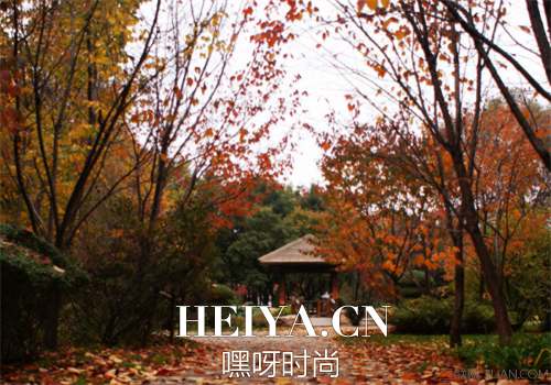 秋季长痘痘怎么办   如何预防长痘