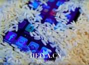 手机进水怎么办   手机进水放到大米里真的管用吗