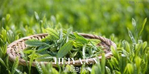 怎么样去除白头粉刺 6个方法助你甩掉粉刺