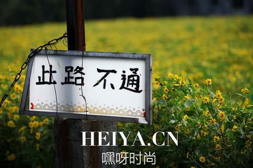 基本问答李承鹏   李承鹏基本问答经典美文