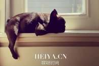 暗黑情感语录留几手全文欣赏   你知道的暗黑情感语录有哪些