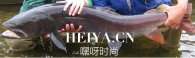 喀纳斯湖哲罗鲑水怪真相揭秘 喀纳斯湖巨型水怪哲罗鲑传说解密