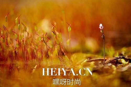 aizi我好害怕    我得了艾滋病到底是谁的问题