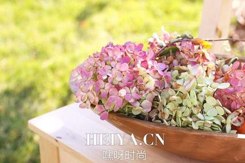 关于爱情甜蜜的诗句赏析  世界最美的十首诗排行