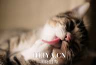弱智吧弱智语录70条，已笑崩    弱智吧入口