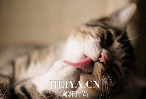 弱智吧弱智语录70条，已笑崩    弱智吧入口