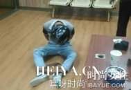 陕ah8n88车主是谁人肉结果背景资料照片_南京宝马撞死人车主人肉