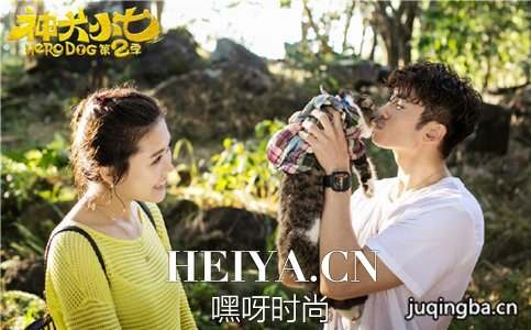 神犬小七2剧照