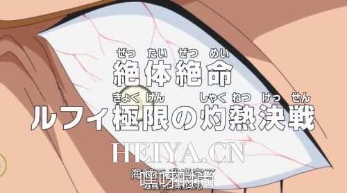  海贼王750集在线观看