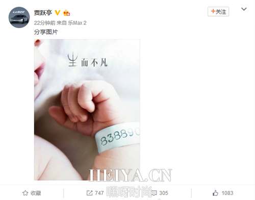 甘薇二胎生儿子 贾跃亭晒娃:生而不凡