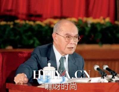 姚依林的儿子是谁 姚依林儿子姚庆照片及资料