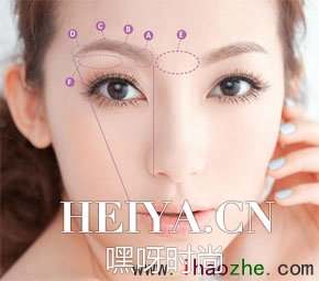 修眉的关键部位图