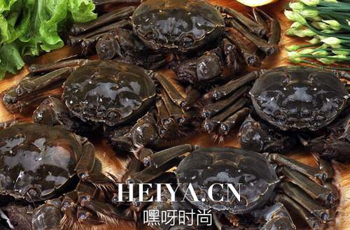 大闸蟹多少钱一斤?大闸蟹多少钱一只? 大闸蟹多少钱一斤?大闸蟹多少钱一只?