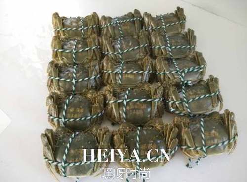 大闸蟹多少钱一斤？大闸蟹多少钱一只？