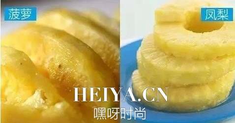 菠萝和凤梨的区别图 菠萝和凤梨有哪些区别