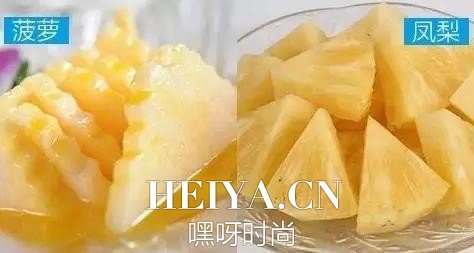 菠萝和凤梨的区别图 菠萝和凤梨有哪些区别