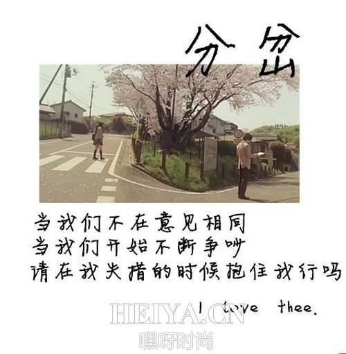 文字图片：爱你是我的孤单心事 (7)