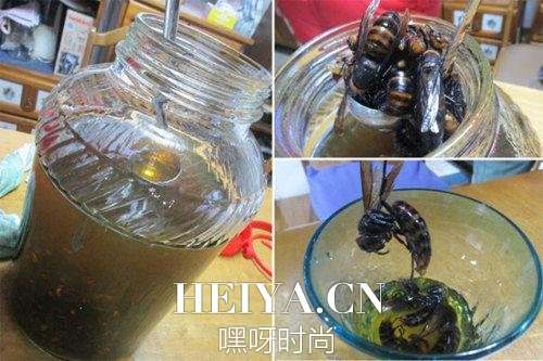 敢喝的都是神 10大令人发指的黑暗界饮料