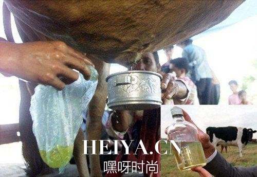 敢喝的都是神 10大令人发指的黑暗界饮料